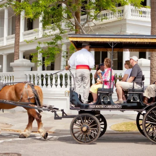 Best Monthly Rentals