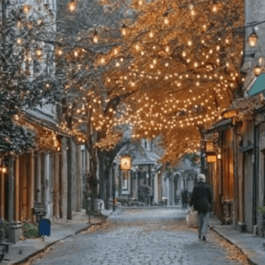 A cobblestone street lined with storefronts and trees decorated with warm string lights in autumn.