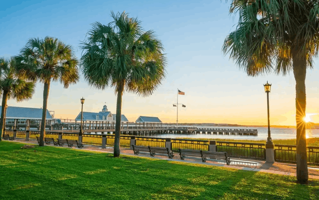 Waterfront Park in Charleston, South Carolina, with palm
    trees, benches, and a pier at sunset.