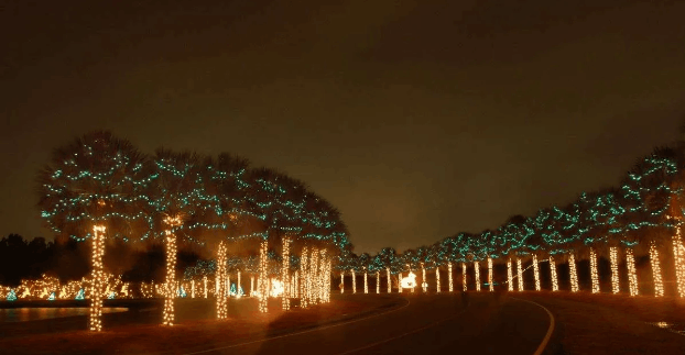 Holiday Festival of Lights at James Island County Park